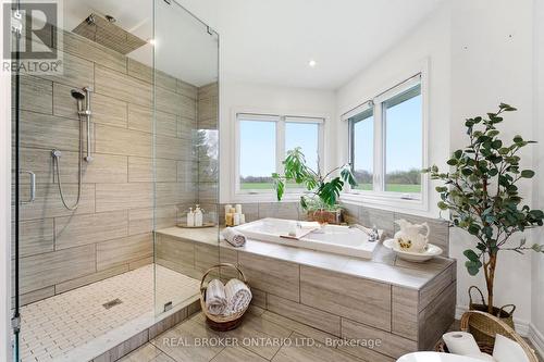 191 Highway 53 Highway, Brant, ON - Indoor Photo Showing Bathroom