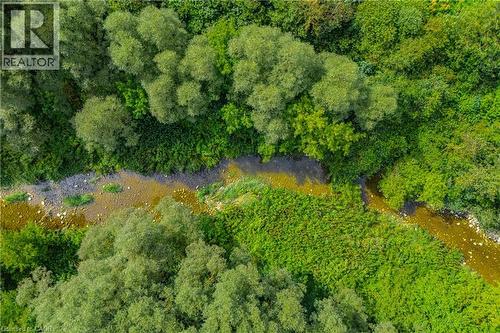 Natural waterway traversing a lush, verdant landscape with dense tree cover and varied foliage - 7916 Wellington Road 109, Arthur, ON 