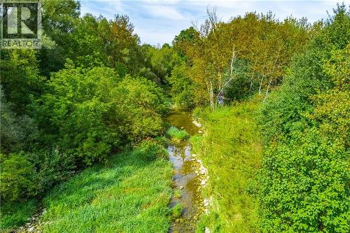 Natural waterway surrounded by dense, verdant foliage and mature trees - 7916 Wellington Road 109, Arthur, ON 