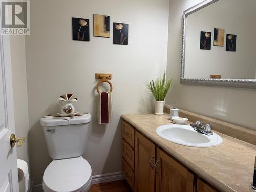 17 Grieve Crescent, Gander, NL - Indoor Photo Showing Bathroom