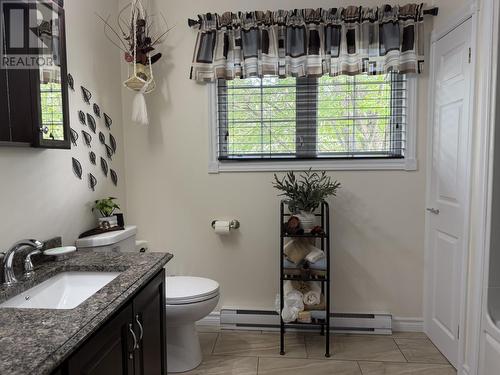 17 Grieve Crescent, Gander, NL - Indoor Photo Showing Bathroom