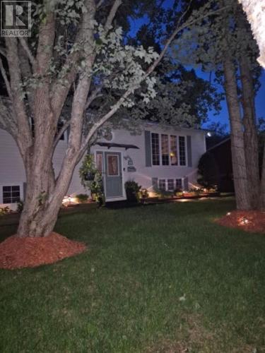 17 Grieve Crescent, Gander, NL - Outdoor