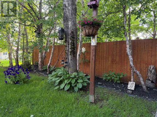 17 Grieve Crescent, Gander, NL - Outdoor