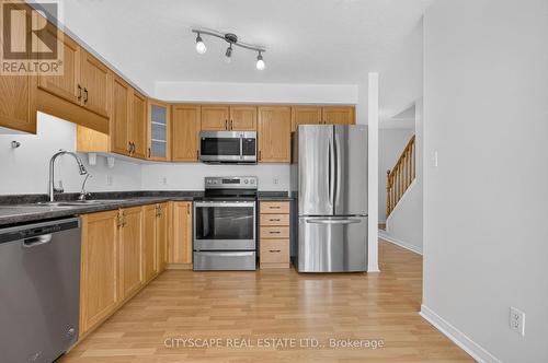 244 Sophia Crescent, Kitchener, ON - Indoor Photo Showing Kitchen