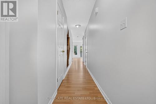 244 Sophia Crescent, Kitchener, ON - Indoor Photo Showing Other Room