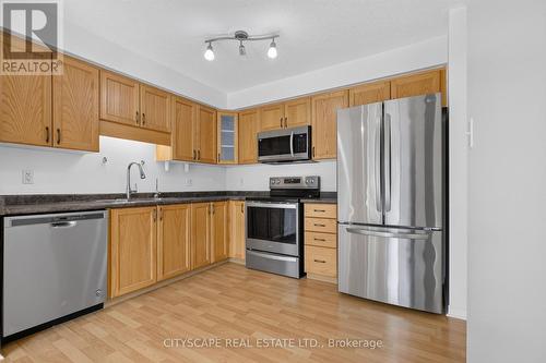 244 Sophia Crescent, Kitchener, ON - Indoor Photo Showing Kitchen