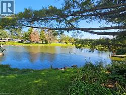 Expansive waterfront property featuring a tranquil pond, lush green lawn, mature trees, and a private dock - 