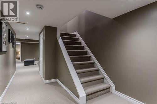 Carpeted staircase with white risers and handrail - 2121 Prospect Street, Burlington, ON - Indoor Photo Showing Other Room