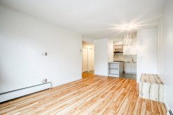 Overall view - 