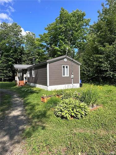 440 Sharkey Rd, Jacksontown, NB 
