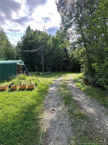 440 Sharkey Rd, Jacksontown, NB 
