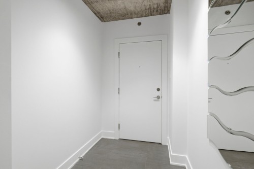 Hall d'entrée/Vestibule - 101-225 Rue De La Montagne, Montréal (Le Sud-Ouest), QC - Indoor Photo Showing Other Room
