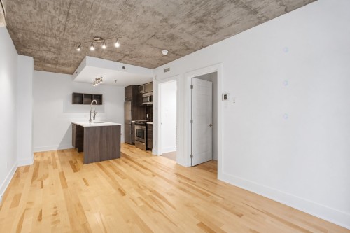 Vue d'ensemble - 101-225 Rue De La Montagne, Montréal (Le Sud-Ouest), QC - Indoor Photo Showing Kitchen