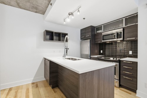 Cuisine - 101-225 Rue De La Montagne, Montréal (Le Sud-Ouest), QC - Indoor Photo Showing Kitchen With Double Sink With Upgraded Kitchen