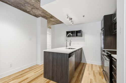 Cuisine - 101-225 Rue De La Montagne, Montréal (Le Sud-Ouest), QC - Indoor Photo Showing Kitchen