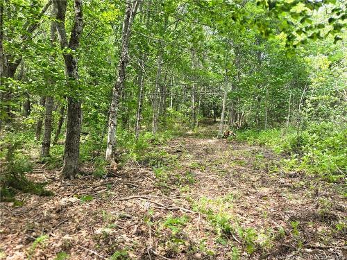 Lot Elm Hill Rd, Hampstead, NB 