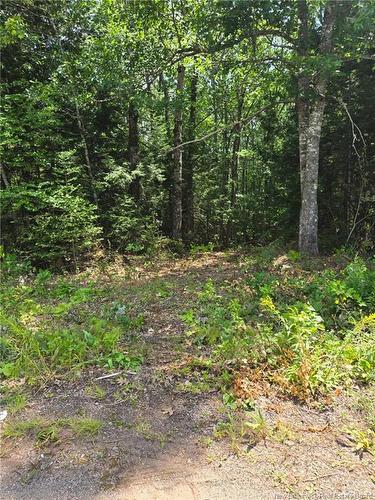 Lot Elm Hill Rd, Hampstead, NB 