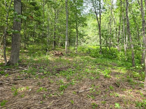 Lot Elm Hill Rd, Hampstead, NB 