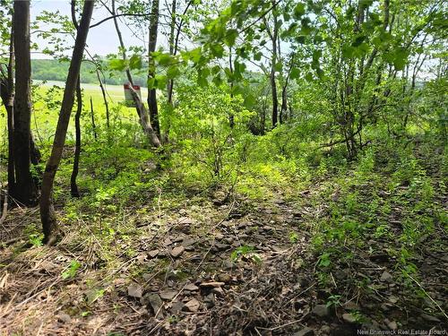 Lot Elm Hill Rd, Hampstead, NB 
