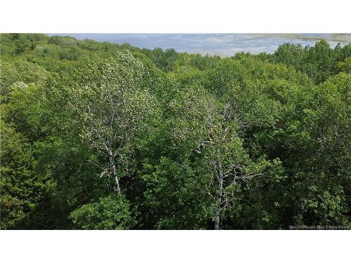 Lot Elm Hill Rd, Hampstead, NB 
