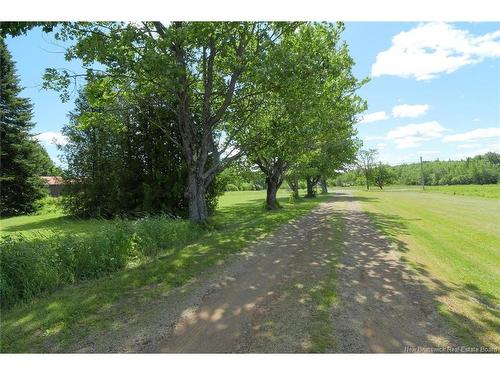 6365 Rte 10, Upper Salmon Creek, NB 