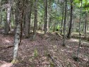 Terre/Terrain - Ch. St-Bernard, Mont-Tremblant, QC 