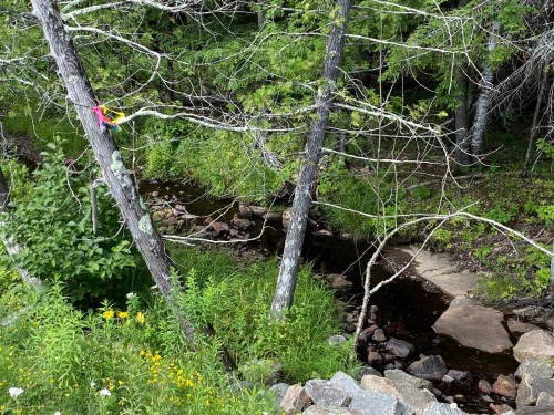 Terre/Terrain - Ch. St-Bernard, Mont-Tremblant, QC 