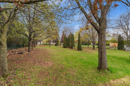 Cour - 3 Rue Bernard, Brownsburg-Chatham, QC - Outdoor With View
