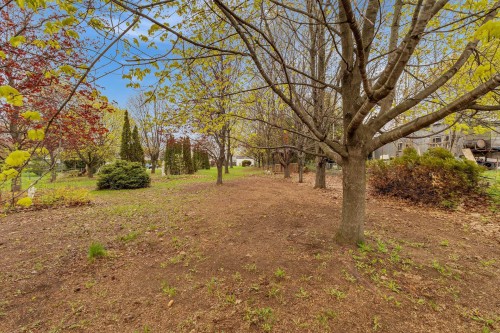 Cour - 3 Rue Bernard, Brownsburg-Chatham, QC - Outdoor With View