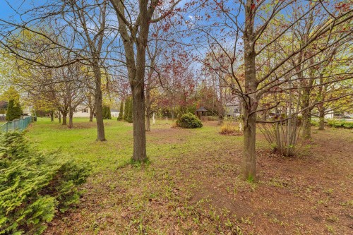Cour - 3 Rue Bernard, Brownsburg-Chatham, QC - Outdoor With View