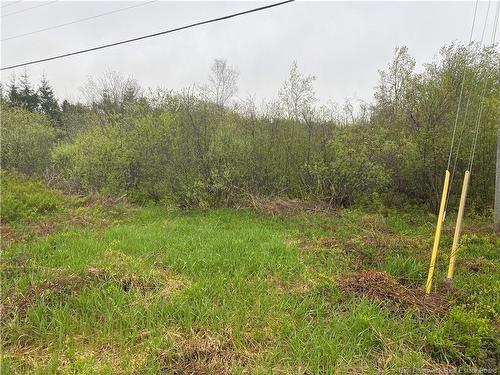 Lot Will Rogers Rd, Moncton, NB - Outdoor