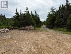 #49 Batts Hill Road Heart's Delight, NL A0B 2A0