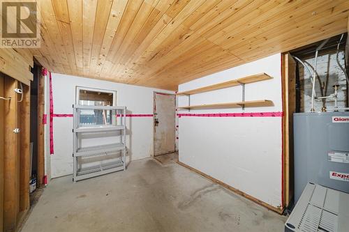 81 Cornwall Avenue, St. John'S, NL - Indoor Photo Showing Basement