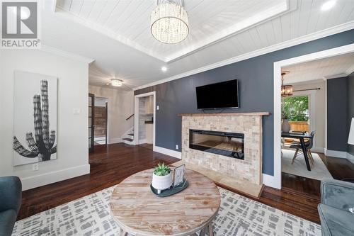 81 Cornwall Avenue, St. John'S, NL - Indoor Photo Showing Living Room With Fireplace