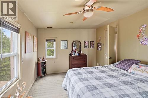 Carpeted room featuring multiple windows with tree-lined exterior, light-toned walls, and a ceiling fan with integrated lighting - 834 Mohawk Road E, Hamilton, ON - Indoor Photo Showing Bedroom