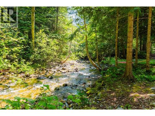 262 Bryan Road, Nelson, BC - Outdoor