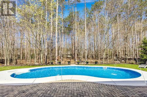 12 Lloyd Cook Drive E, Springwater, ON - Outdoor With In Ground Pool