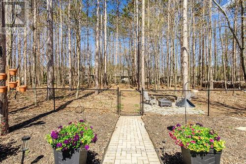 12 Lloyd Cook Drive E, Springwater, ON - Outdoor