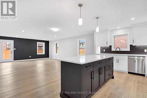 80 Styles Drive, St. Thomas, ON - Indoor Photo Showing Kitchen With Upgraded Kitchen
