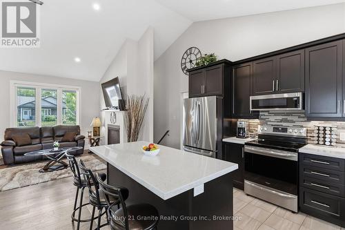 UNDER COUNTER LIGHTING AND PULL OUT GARBAGE - 39 Windover Drive, Minden Hills (Lutterworth), ON 