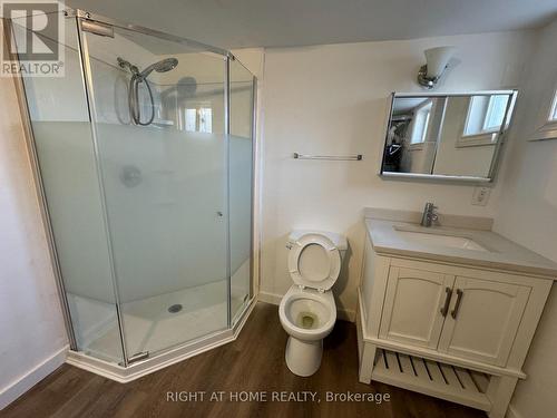 Lower - 950 Queens Boulevard, Kitchener, ON - Indoor Photo Showing Bathroom
