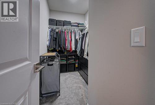 Walk-in closet featuring built-in shelving, hanging rods, an integrated drawer system, and carpet flooring - 15 Matheson Crescent, Innerkip, ON - Indoor With Storage