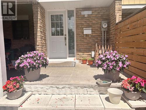 244 ROYAL SALISBURY WAY  Brampton, ON L6V 3H4