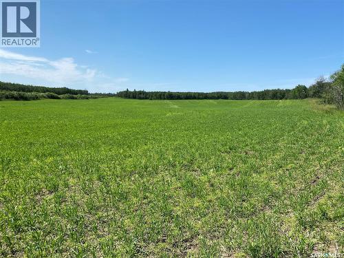Leask Farm, Leask Rm No. 464, SK 
