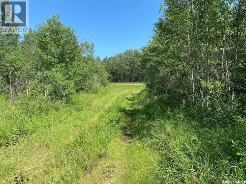 Leask Farm, Leask Rm No. 464, SK 