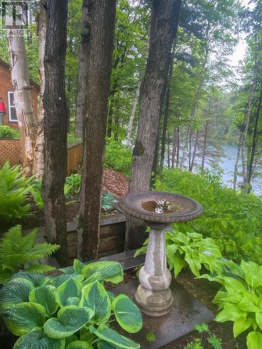 1161 Lau Camp Rd, Algoma Mills, ON - Outdoor With Body Of Water