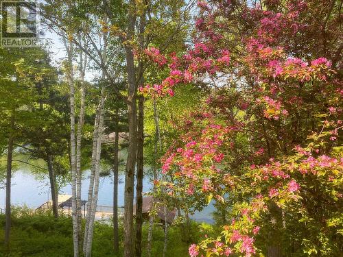 1161 Lau Camp Rd, Algoma Mills, ON - Outdoor With Body Of Water With View