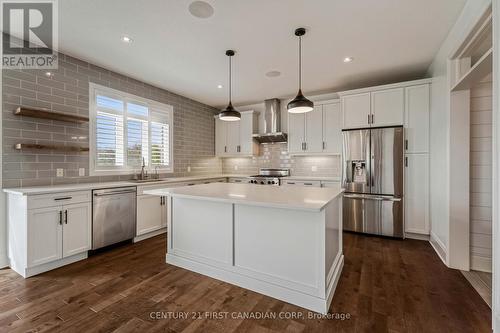 569 Eclipse Walk, London North (North B), ON - Indoor Photo Showing Kitchen With Upgraded Kitchen