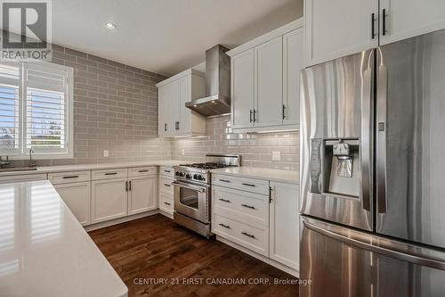 569 Eclipse Walk, London North (North B), ON - Indoor Photo Showing Kitchen With Upgraded Kitchen
