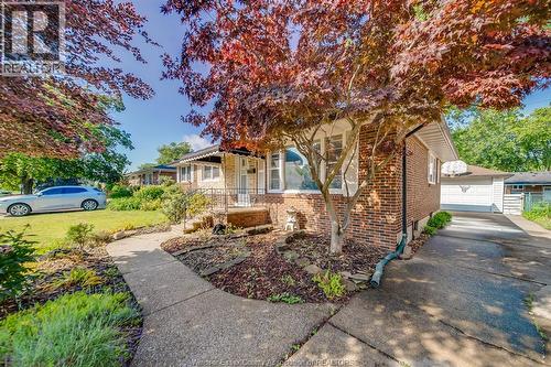 3063 Bruce Avenue, Windsor, ON - Outdoor